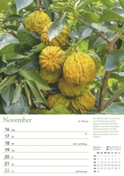 Ein Jahr in meinem Garten - Wochenkalender 2026 - Garten-Kalender mit 53 Blatt - Format 21,0 x 29,7 cm - Spiralbindung-Neumann Verlage GmbH & Co Best