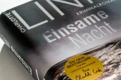Blanvalet Verlag Einsame Nacht Hot