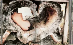 Ellen von Unwerth. Heimat-Taschen GmbH Online