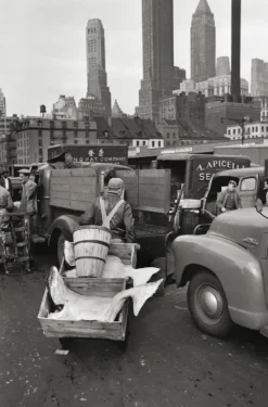 teNeues Verlag GmbH Elliott Erwitt's New York Outlet