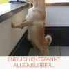 Endlich entspannt Alleinbleiben...-BoD - Books on Demand Online