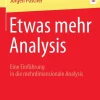 Etwas mehr Analysis-Springer-Verlag GmbH Clearance