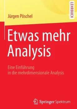 Etwas mehr Analysis-Springer-Verlag GmbH Clearance