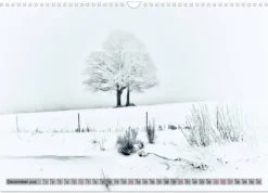 Calvendo Franken WildRomantisch (Wandkalender 2026 DIN A3 quer), Monatskalender