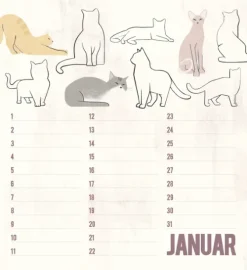 Korsch Verlag GmbH Geburtstagskalender Cats Discount