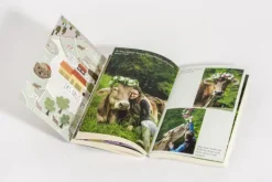 Goldmann Verlag Gekommen, um zu bleiben Outlet