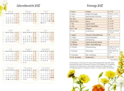 Coppenrath GlücksKalender 2027 - gelb Hot