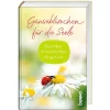 St. Benno Verlag GmbH Gänseblümchen für die Seele Discount