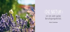 Groh Verlag Gute Besserung Best