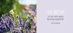 Groh Verlag Gute Besserung Best