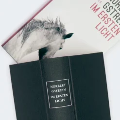 Im ersten Licht-Carl Hanser Verlag