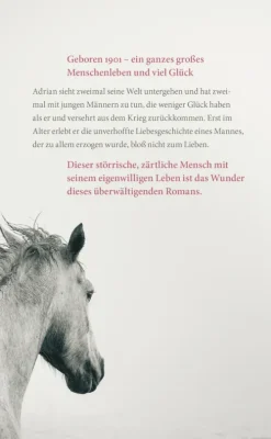 Im ersten Licht-Carl Hanser Verlag