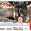 Calvendo Im Reich der Eulen (Wandkalender 2026 DIN A3 quer), Monatskalender