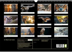 Calvendo Im Reich der Eulen (Wandkalender 2026 DIN A3 quer), Monatskalender