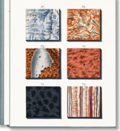 Taschen Verlag Jan Christiaan Sepp. The Book of Marble Discount