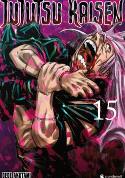 Jujutsu Kaisen - Band 15-Crunchyroll Manga Outlet