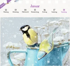 Coppenrath, Münster Kalender mit 53 Postkarten Best