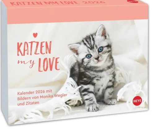 Katzen my love Tagesabreißkalender 2026-Heye Kalender