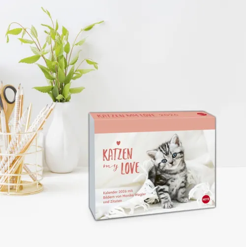 Katzen my love Tagesabreißkalender 2026-Heye Kalender