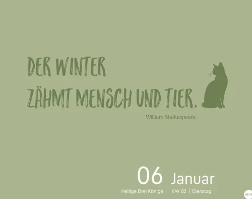 Katzen my love Tagesabreißkalender 2026-Heye Kalender