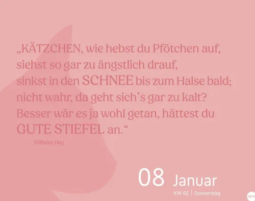 Katzen my love Tagesabreißkalender 2026-Heye Kalender