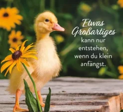 Groh Verlag Kleine Pausen voller Glück New