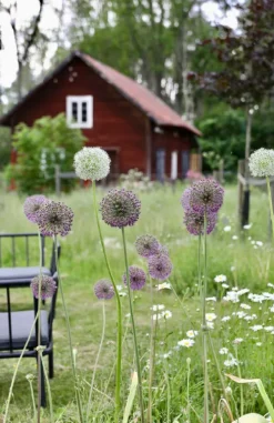 Busse-Seewald Verlag Kleine Umwege, große Erlebnisse. Eine Reise zu verborgenen Traumorten in Skandinavien.