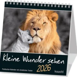 Kawohl Kleine Wunder sehen 2026 Best