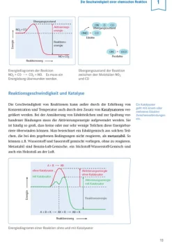 Klett Lerntraining Klett Sicher im Abi Oberstufen-Wissen Chemie Hot