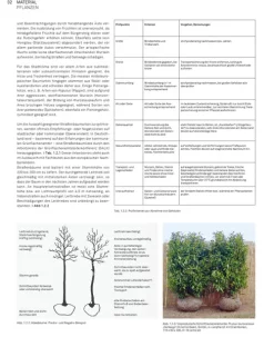 Landschaft konstruieren-Birkhäuser Verlag GmbH Outlet