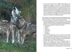 Oekom Verlag GmbH Leben mit dem Wolf Best