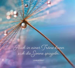 Groh Verlag Lichtblicke für jeden Tag Discount