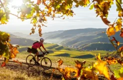 Mairdumont LONELY PLANET Bildband Legendäre Radtouren in Deutschland New
