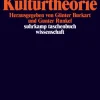 Luhmann und die Kulturtheorie-Suhrkamp