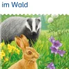 Westermann Lernwelten miniLÜK. Tiere und Pflanzen: im Wald Discount