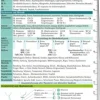 Boerm Bruckmeier Neurologie pocketcard Set Online