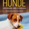 Ängstliche und traumatisierte Hunde erziehen und stärken - Hundeerziehung Praxisbuch: Wie Sie Angst und Stress bei Ihrem Hund erkennen, richtig deuten und einfühlsam behandeln-BoD - Books on Demand Online