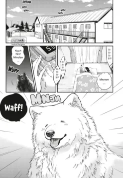 One Room Dog 1-Carlsen Verlag GmbH Hot