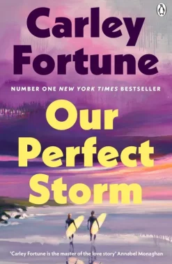 Our Perfect Storm-Penguin Books Ltd (UK) Clearance
