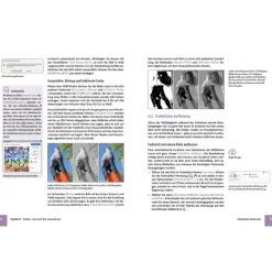 Photoshop Elements 2025 - Das umfangreiche Praxisbuch-BILDNER Verlag Online