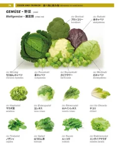 PONS Bildwörterbuch Japanisch-Pons Langenscheidt GmbH