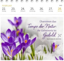 Ars Edition GmbH Postkartenkalender Gartenglück 2027 Online