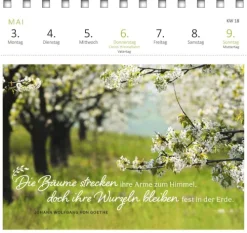 Ars Edition GmbH Postkartenkalender Gartenglück 2027 Online
