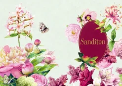 Coppenrath Sanditon Discount