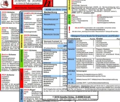 Schemata & Scores in Klinik & Rettungsdienst (2 Karten Set) - SSSS-Schema, ABCDE-Schema, Basics-Schema, IPAP-Schema, SAMPLER(!)S, WASB, FAST, OPQRST, PECH-Regel, DMS, 4Hs, HITS, GCS, KUSS, APGAR-Hawelka, Verlag Online