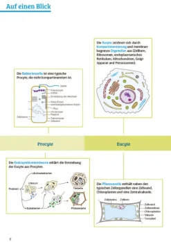 Klett Lerntraining Sicher im Abi Biologie Clearance