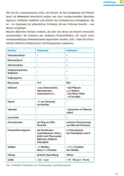 Klett Lerntraining Sicher im Abi Biologie Clearance