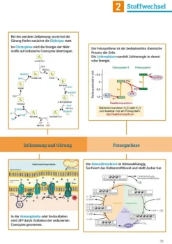 Klett Lerntraining Sicher im Abi Biologie Clearance