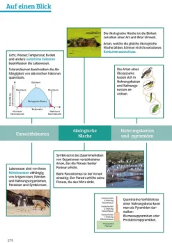Klett Lerntraining Sicher im Abi Biologie Clearance
