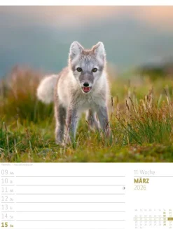 Skandinavien Wochenplaner Kalender 2026 | Der Zauber des hohen Nordens-Ackermann Kunstverlag Best